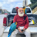 Beykoz’un papağanlı amcası ilgi odağı oldu!