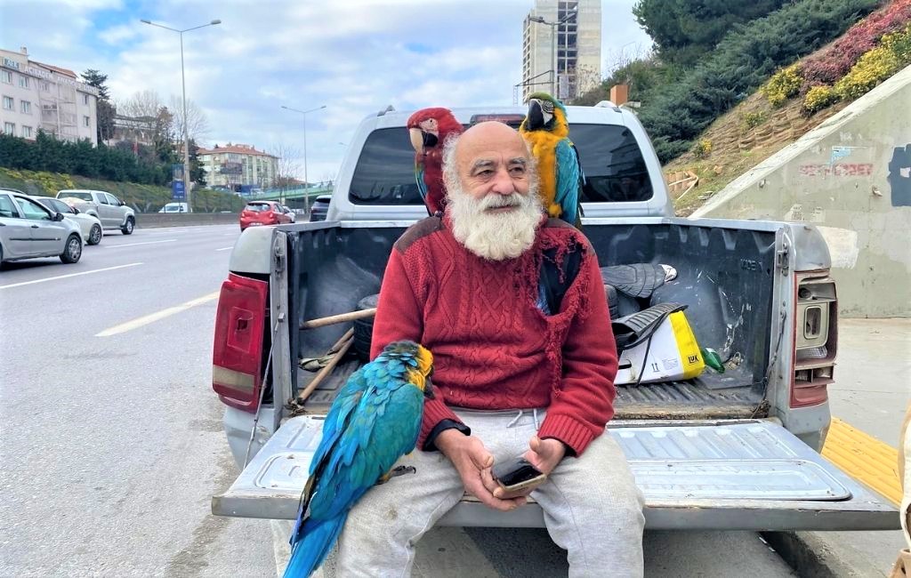 Beykoz’un papağanlı amcası ilgi odağı oldu!