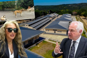 Türkiye’ye örnekti! Beykoz CHP’ye geçince kaderine terk edildi