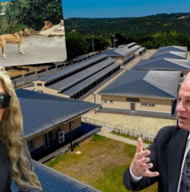 Türkiye’ye örnekti! Beykoz CHP’ye geçince kaderine terk edildi